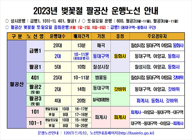 2023년 벚꽃철 팔공산 운행노선 안내문
