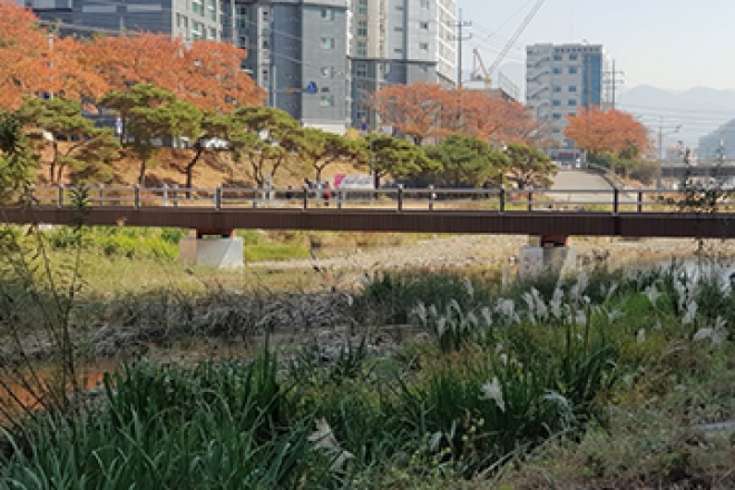 사람과 자연이 함께 즐기는 #천내천 #한평정원