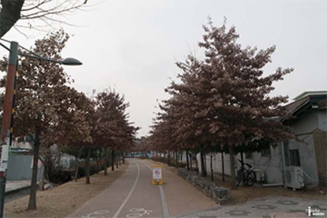 산책하기 좋은 코스 #아양교 #아양기찻길 #동구청