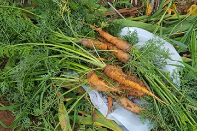 시민에게 행복을 주는 공영도시농업농장을 소개합니다!