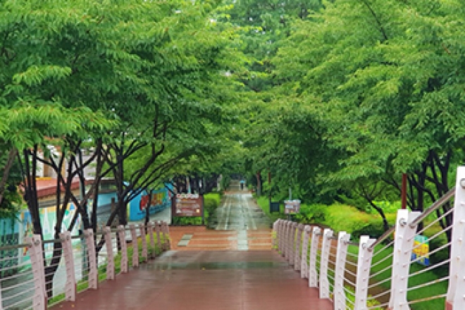 건강한 숨 · 깨끗한 물 · 푸른 숲 [녹색도시 대구]