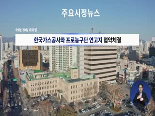 시정영상뉴스 제67호(2022-09-20)