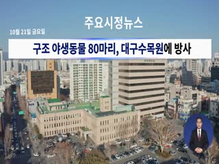 시정영상뉴스 제76호(2022-10-21)