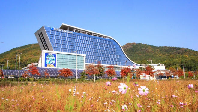한국가스공사 앞 코스모스 밭