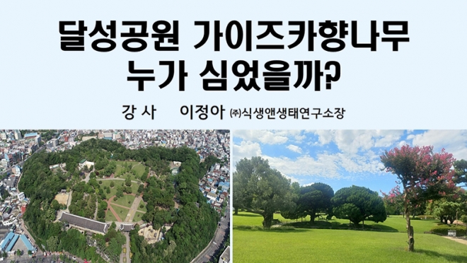‘달성공원 가이즈카 향나무 누가 심었을까?’ 특강 개최