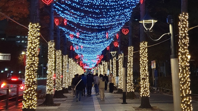 대구광역시, 아름답게 거리를 밝히는 경관조명 점등