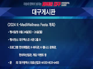 2024 K-MediWellness Festa 