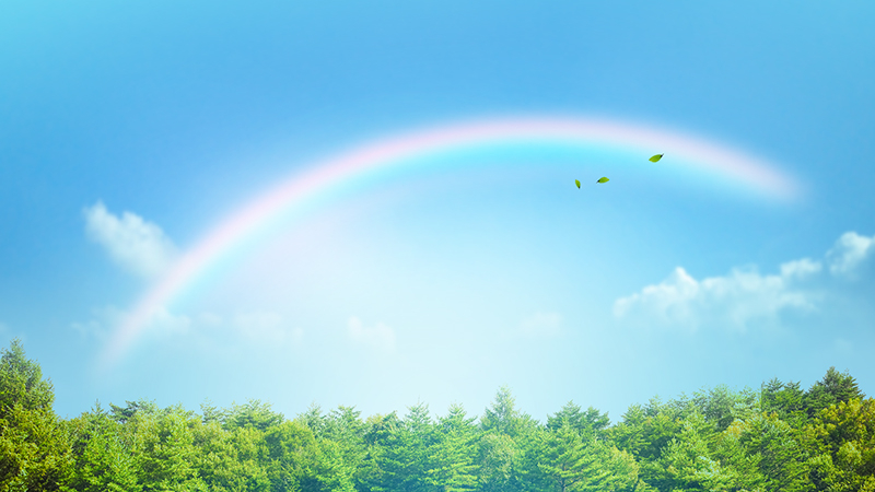 대구시, 50억 규모 ‘우리동네 맑은공기 패키지’ 지원… 대기질 개선 박차<span style='letter-spacing:-1px'>...</span>